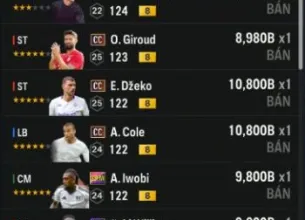 Tài khoản FO4 #45535