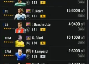 Tài khoản FO4 #45157