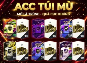 Tài khoản FO4 #60224