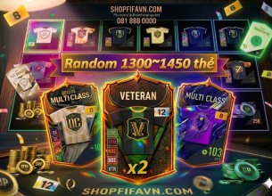 Tài khoản FO4 #44892