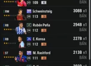 Tài khoản FO4 #42461