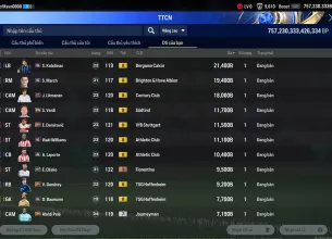 Tài khoản FO4 #43014