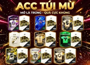 Tài khoản FO4 #60094