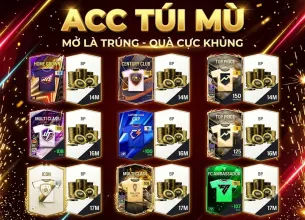 Tài khoản FO4 #60060