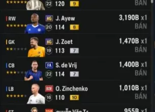 Tài khoản FO4 #39889