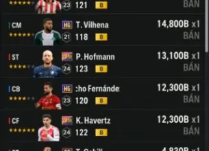 Tài khoản FO4 #44799