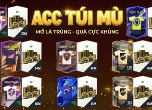 Tài khoản FO4 #60038