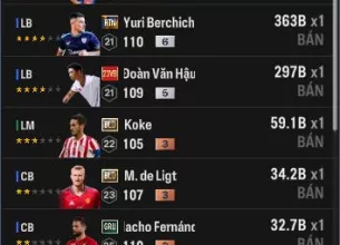 Tài khoản FO4 #36184