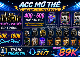 Tài khoản FO4 #58139