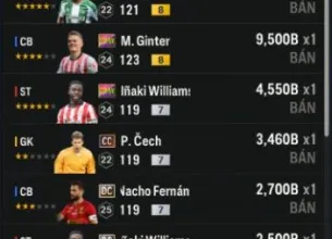 Tài khoản FO4 #45518