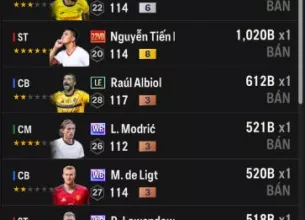 Tài khoản FO4 #41603