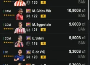 Tài khoản FO4 #45512