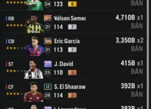 Tài khoản FO4 #42566