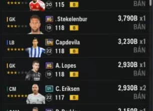 Tài khoản FO4 #39978