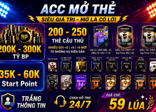 Tài khoản FO4 #56810