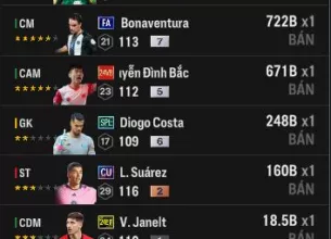 Tài khoản FO4 #35422