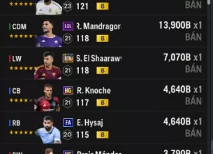 Tài khoản FO4 #40451