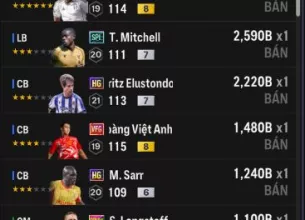 Tài khoản FO4 #40881