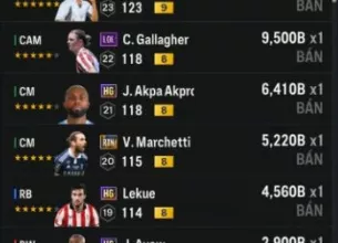 Tài khoản FO4 #39888