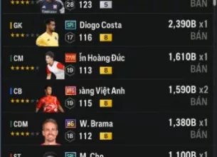 Tài khoản FO4 #39982