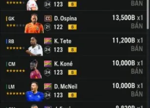 Tài khoản FO4 #45539