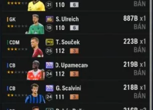 Tài khoản FO4 #41433