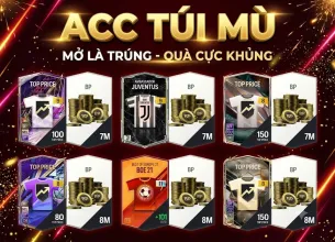 Tài khoản FO4 #60098