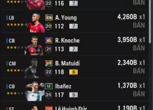 Tài khoản FO4 #42202