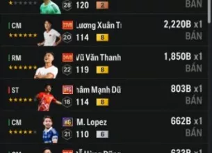 Tài khoản FO4 #39594