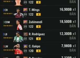 Tài khoản FO4 #45161