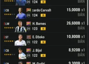 Tài khoản FO4 #45506