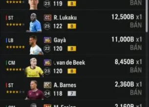 Tài khoản FO4 #44787