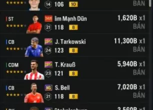 Tài khoản FO4 #40724