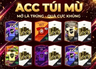 Tài khoản FO4 #60150