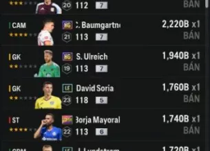 Tài khoản FO4 #40893